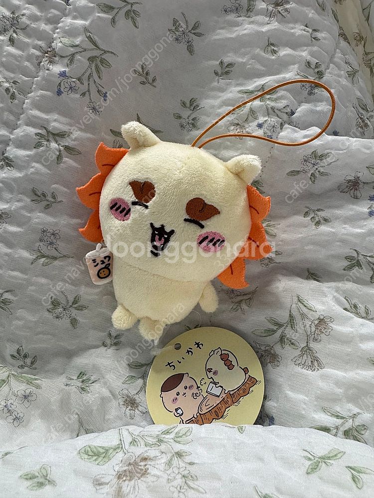 치이카와 시사 인형--0