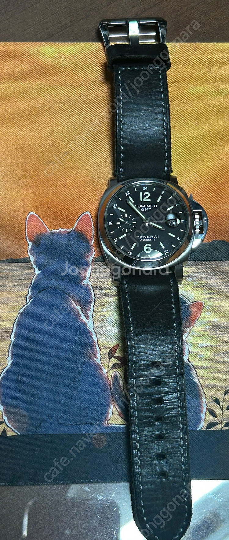 파네라이 gmt pam00244(40mm)--2