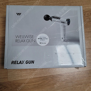 웰와이즈 마사지건(WRG-7100)