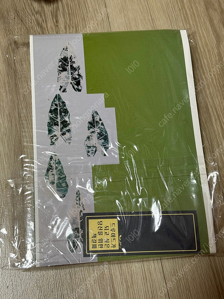 (한정판)드루이드가 되고 싶은 당신을 위한 안내서 식물서적 프로개--1