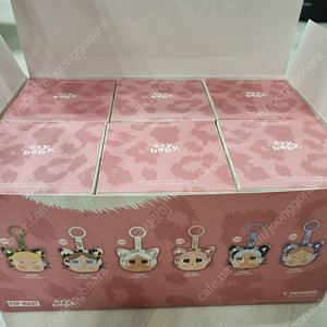 팝마트 정품 크라이베이비 표범 냥이 미개봉 박스 낱개판매