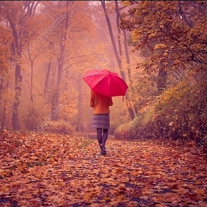 유율케이크사요