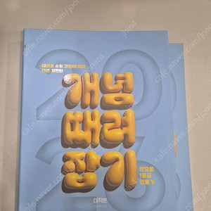 정승제 개때잡, 혼때잡 미적