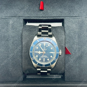 튜더 블랙베이58 청판 판매합니다.