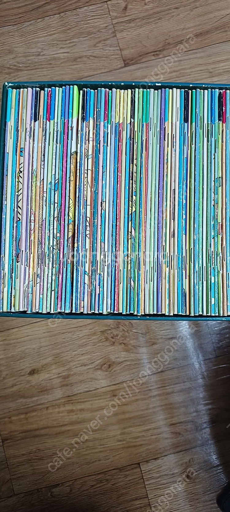 베렌스타인베어즈 60권--0