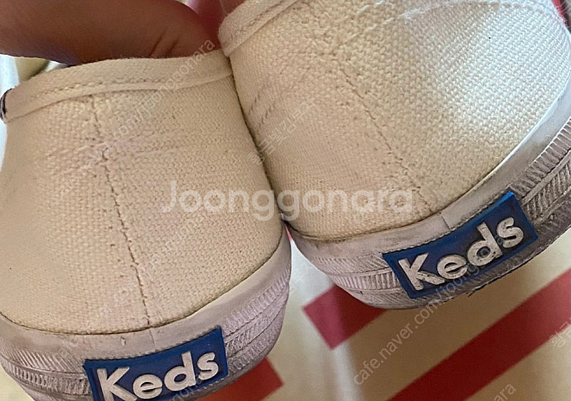 케즈 KEDS 챔피온 캔버스 230--4