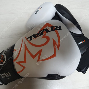 라이벌 rb11복싱 글러브 팝니다 (L사이즈)