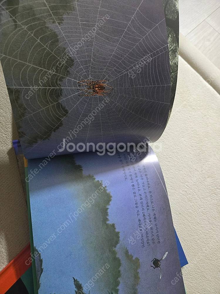 (택포)웅진 원리가보이는과학--5