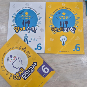 안쌤의 맛있는 영재 수학, 과학 6학년