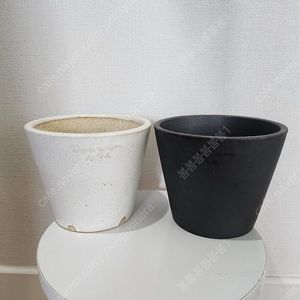 두갸르송 비올레13