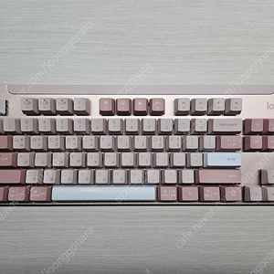 로지텍 무선 키보드 K855 + 로지볼트