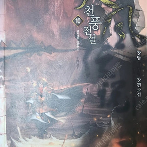 천풍전설 신무협 장편소설 1~10권 전권 팔아요.