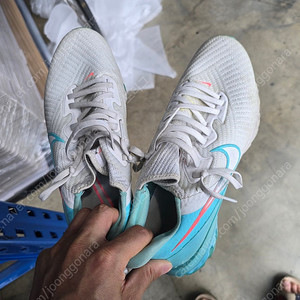 나이키골프화 260mm