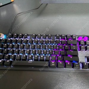 커세어 k70 pro tkl mgx + 골드 키캡 레피드 트리거 자석축