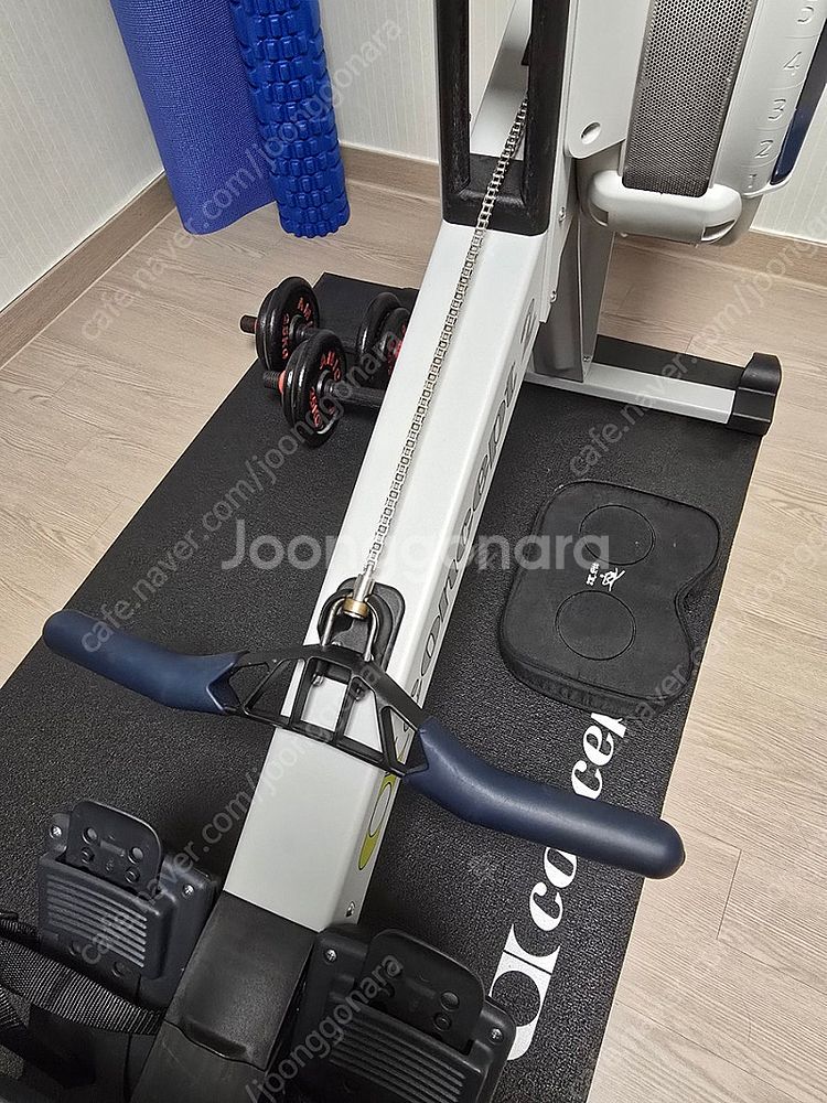 부산) 컨셉2 로잉머신 팝니다 (PM5, 로우에르그, ...--3