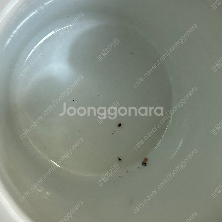 빈티지 호랑이 타이거 도자기 필통 붓통 오복 오호도--8