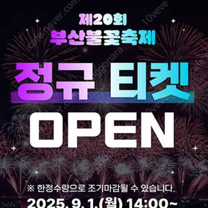부산불꽃축제 그린존 2열