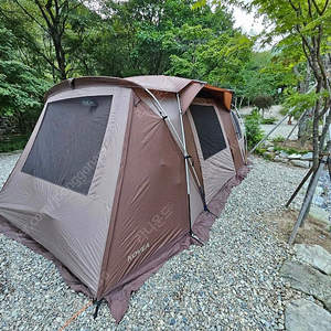 코베아 네스트2 텐트 판매합니다