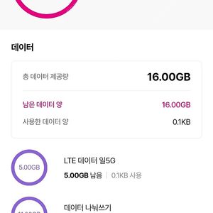 LG 유플러스 데이터 2G