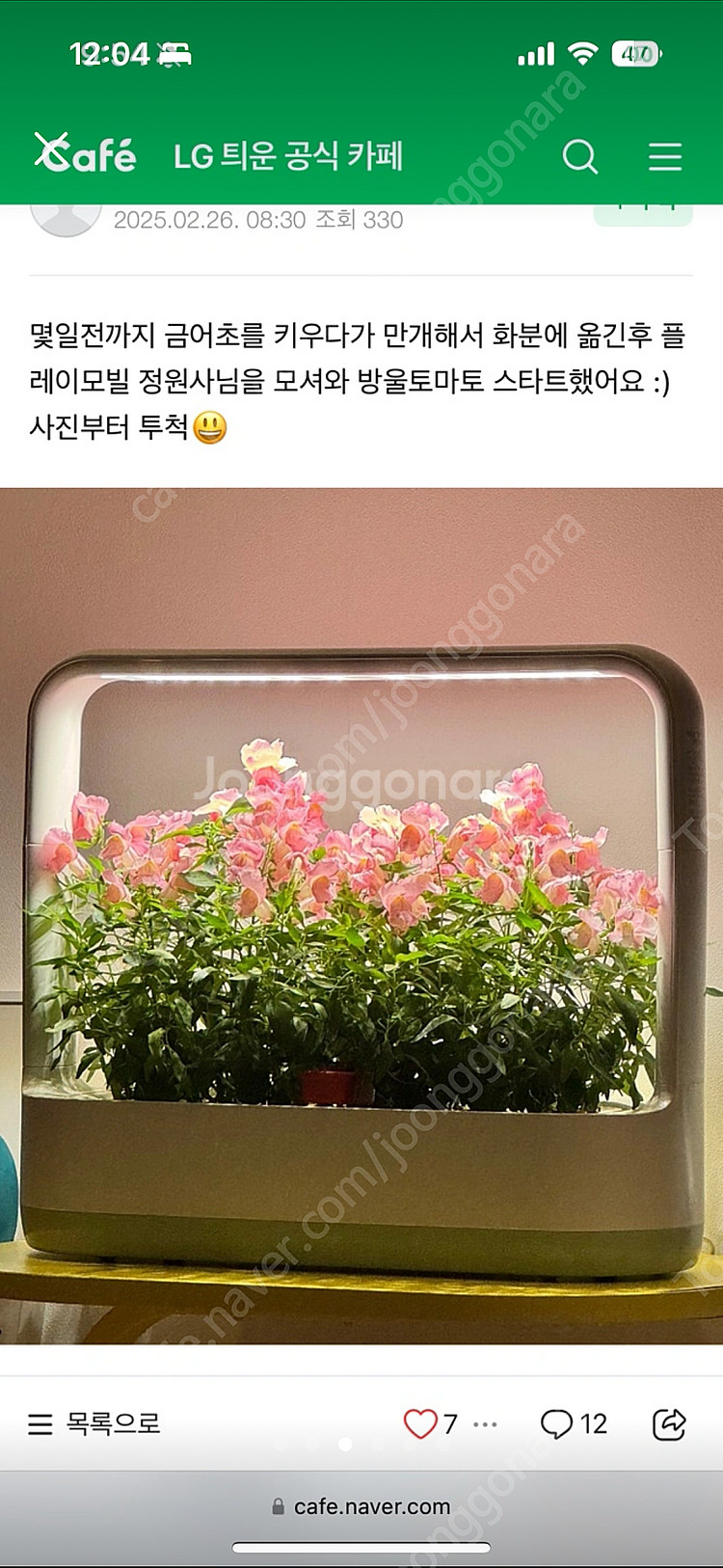 LG 틔운 미니 - 가정용 식물재배기--2