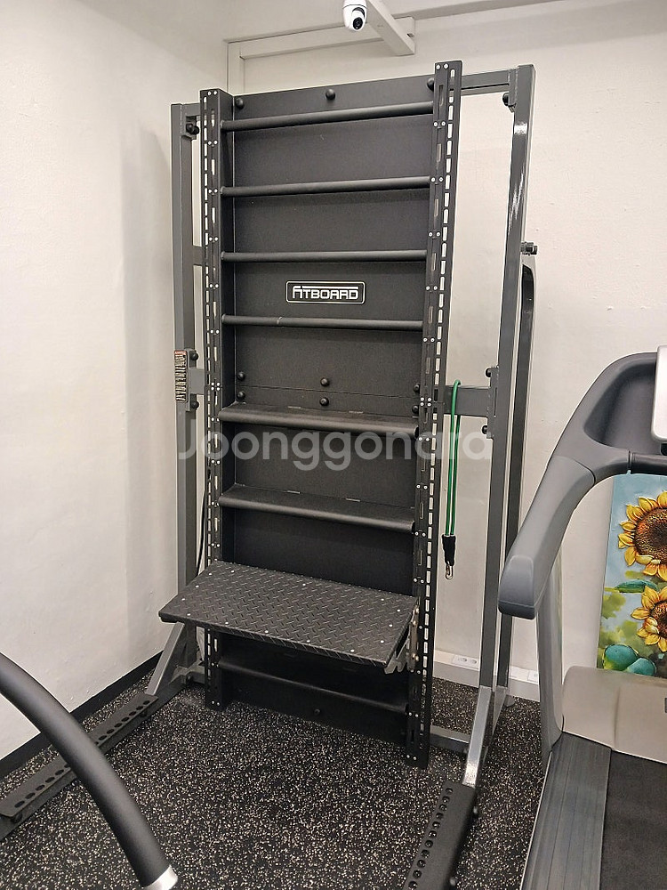 핏보드 판매합니다(전신운동 가능)--0