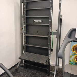 핏보드 판매합니다(전신운동 가능)