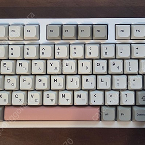 레오보그 hi75