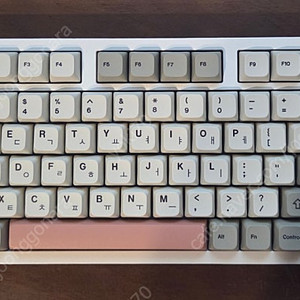 레오보그 hi75
