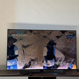 LG 나노셀 tv 65인치 65SM8600PUA