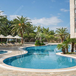 제주 휘닉스 아일랜드 추석연휴 10.1~10.6 양도 해요. *성인조식2인포함*야외온수풀수영장4인무료 키즈라운지까지!!!