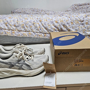 [265]아식스 노바블라스트 오트밀 S급 팔아요