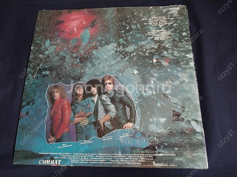 수입 헤비메탈 엘피 LP--2