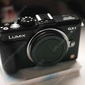 파나소닉 루믹스 GX1 카메라 바디 팝니다.