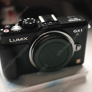파나소닉 루믹스 GX1 카메라 바디 팝니다.