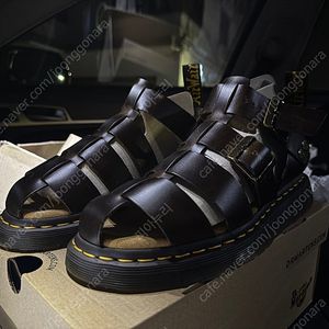 닥터마틴 가린 250 브라운