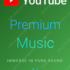 유튜브 프리미엄 + 뮤직 6개월