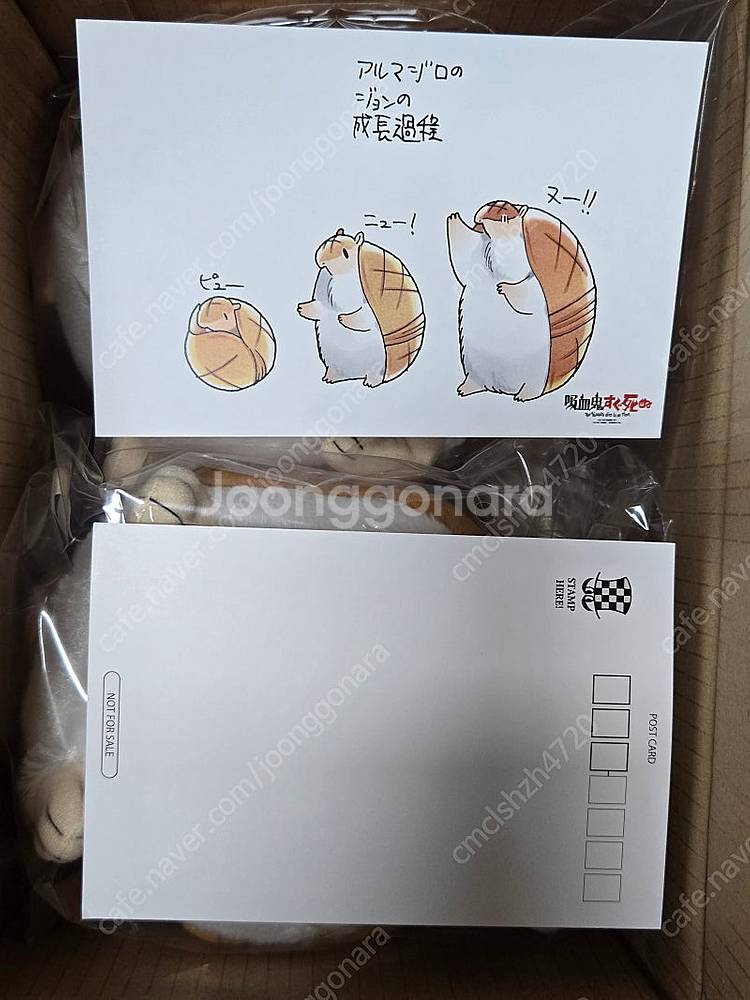 [미개봉] 흡툭죽 아키타서점 누이구루미 드라루크, 로널...--4
