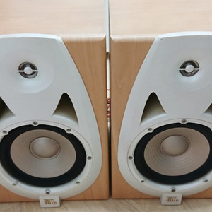 JBL FE-2020 스피커