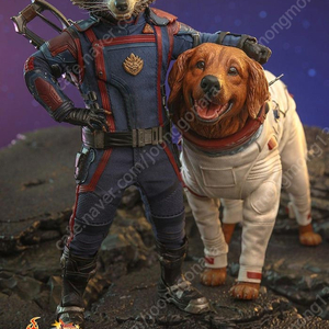 핫토이 MMS708 가오갤3 로켓과 코스모