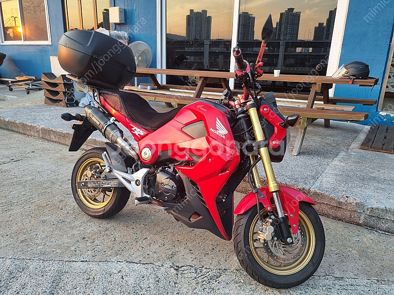 msx 125 14년 부산--3