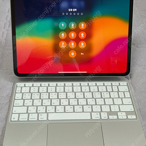 애플 아이패드 11 프로 패키지 (Apple 2024 iPad Pro 11 M4 Wi-Fi (256GB) + 매직 키보드 + 펜슬 PRO) 팝니다.