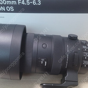 시그마 60-600mm 소니 FE마운트