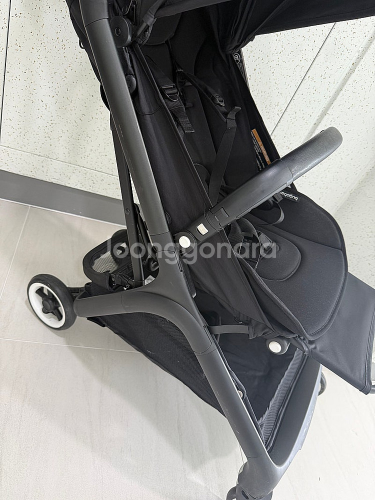 부가부 버터플라이--5