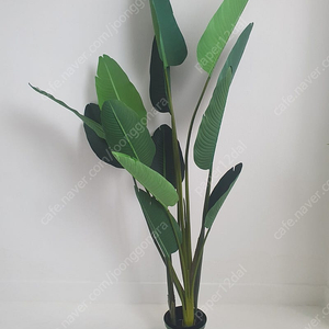 조화 나무 3개 일괄판매