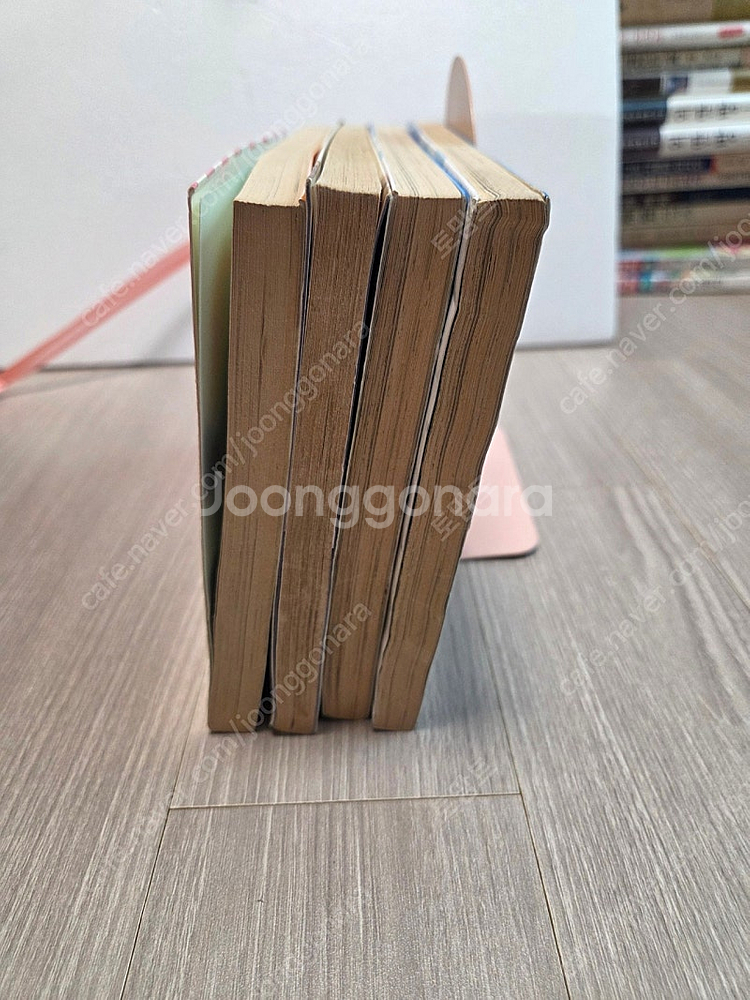 이정애 만화 소장용 일요일의손님--8