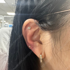 14k 미니 콩 진주 피어싱
