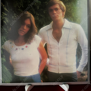 (민트급알판) Carpenters - Horizon(LP)
