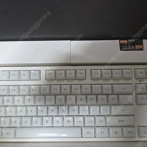 레오폴드 fc750 rbt 후아노 갈축(스위치 변경 가능)