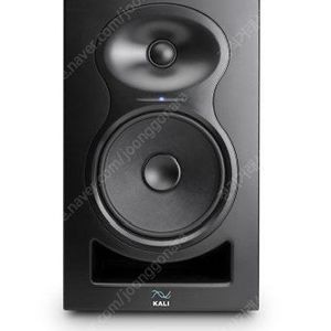 칼리오디오 Lp6 V2 구매합니다.