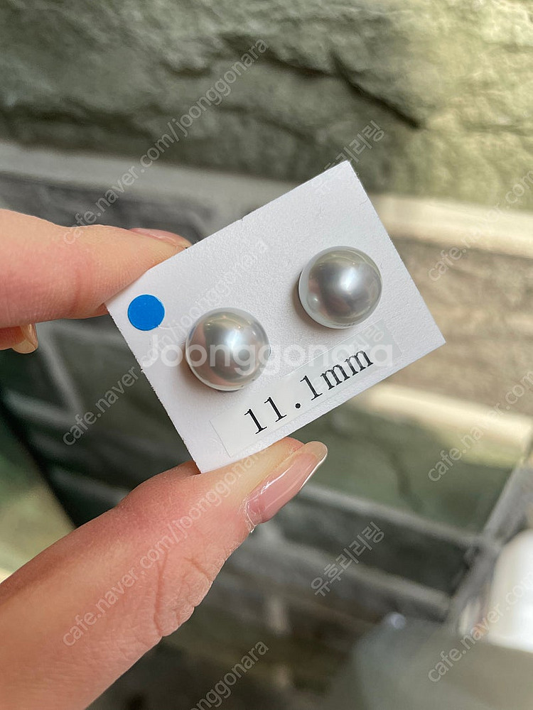 남양 진주 귀걸이 3종 판매합니다.(골드,타히티 흑진주,실버)--2